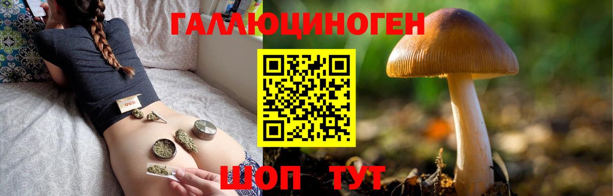 Псилоцибиновые грибы Psilocybine cubensis  Галлюциногенные грибы мицелий  Вход с VPN  Видное 