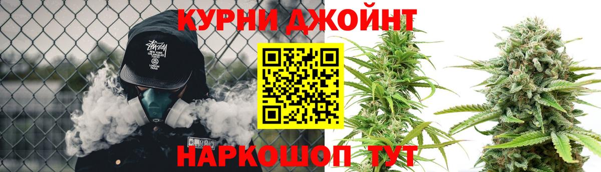Каннабис OG Kush Видное